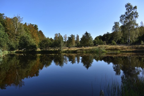 Ullstorps Stugor swimming lake